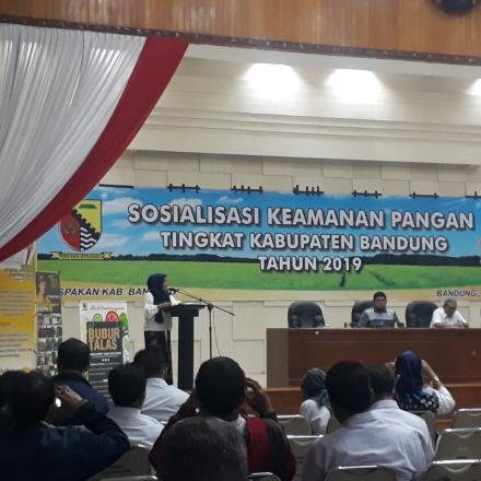 Album : sosialisasi keamanan pangan 2019